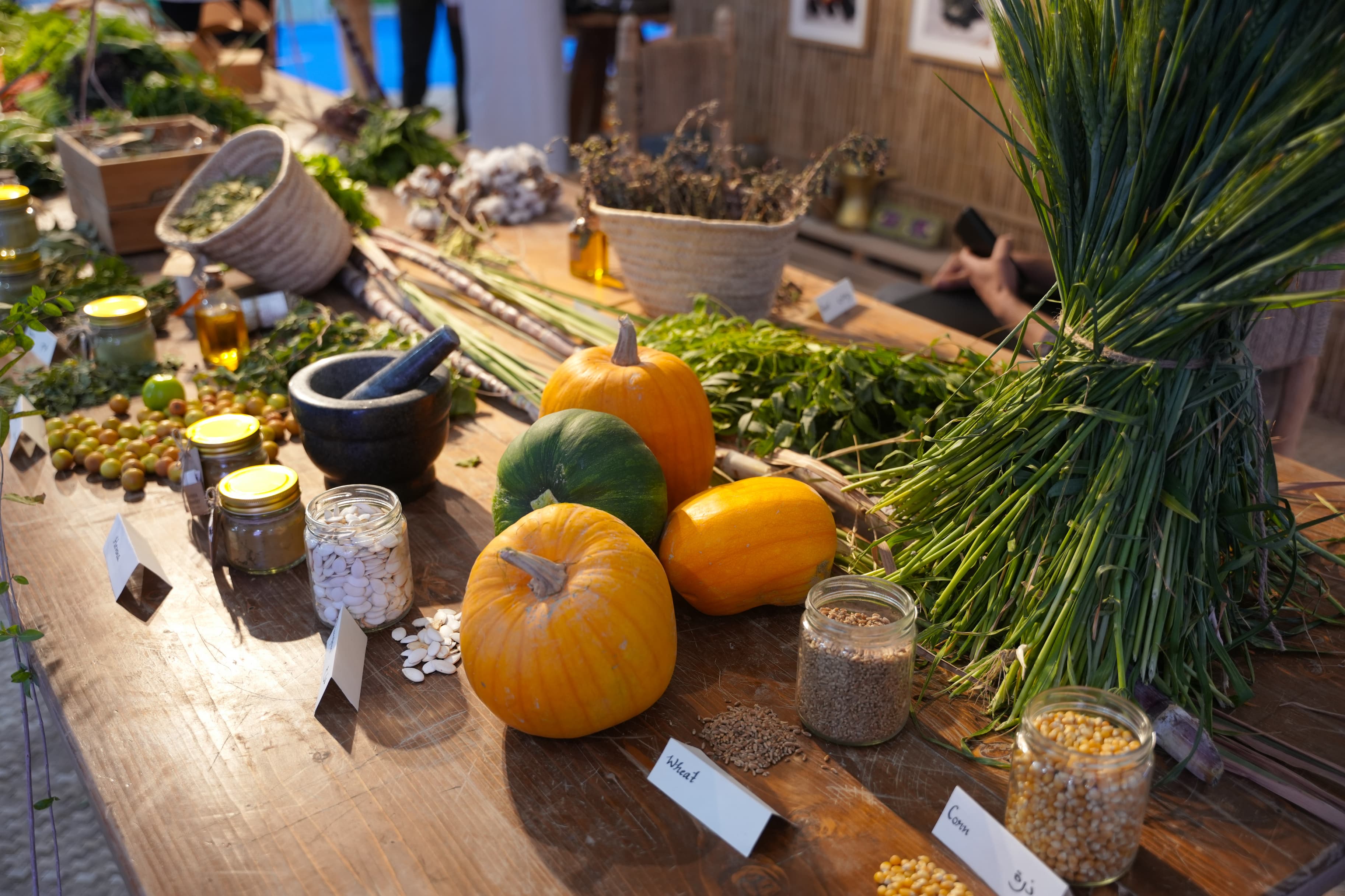 سوق المزارعين