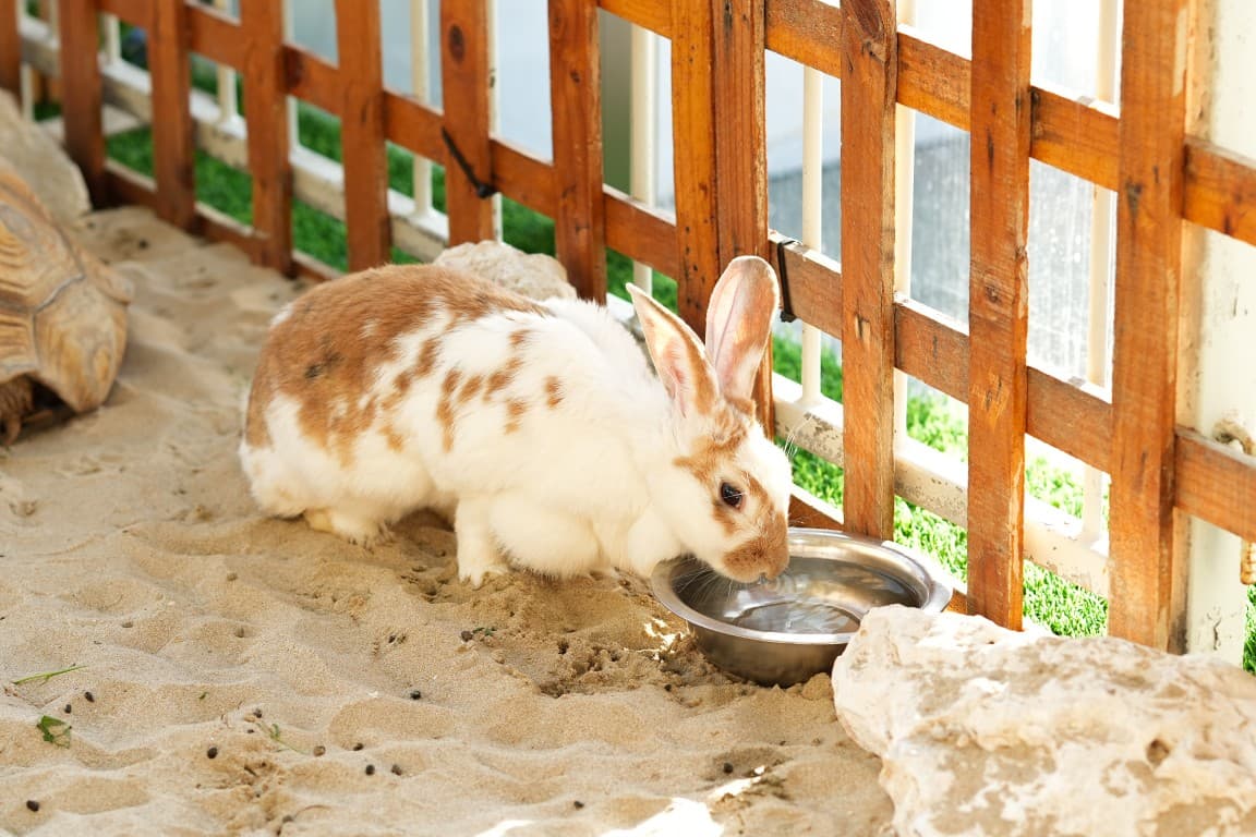 حديقة الحيوان