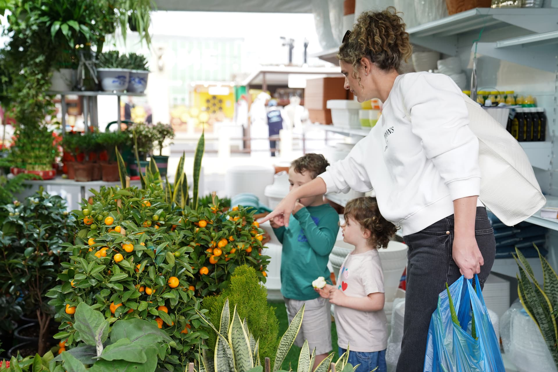 الأسواق الخارجية